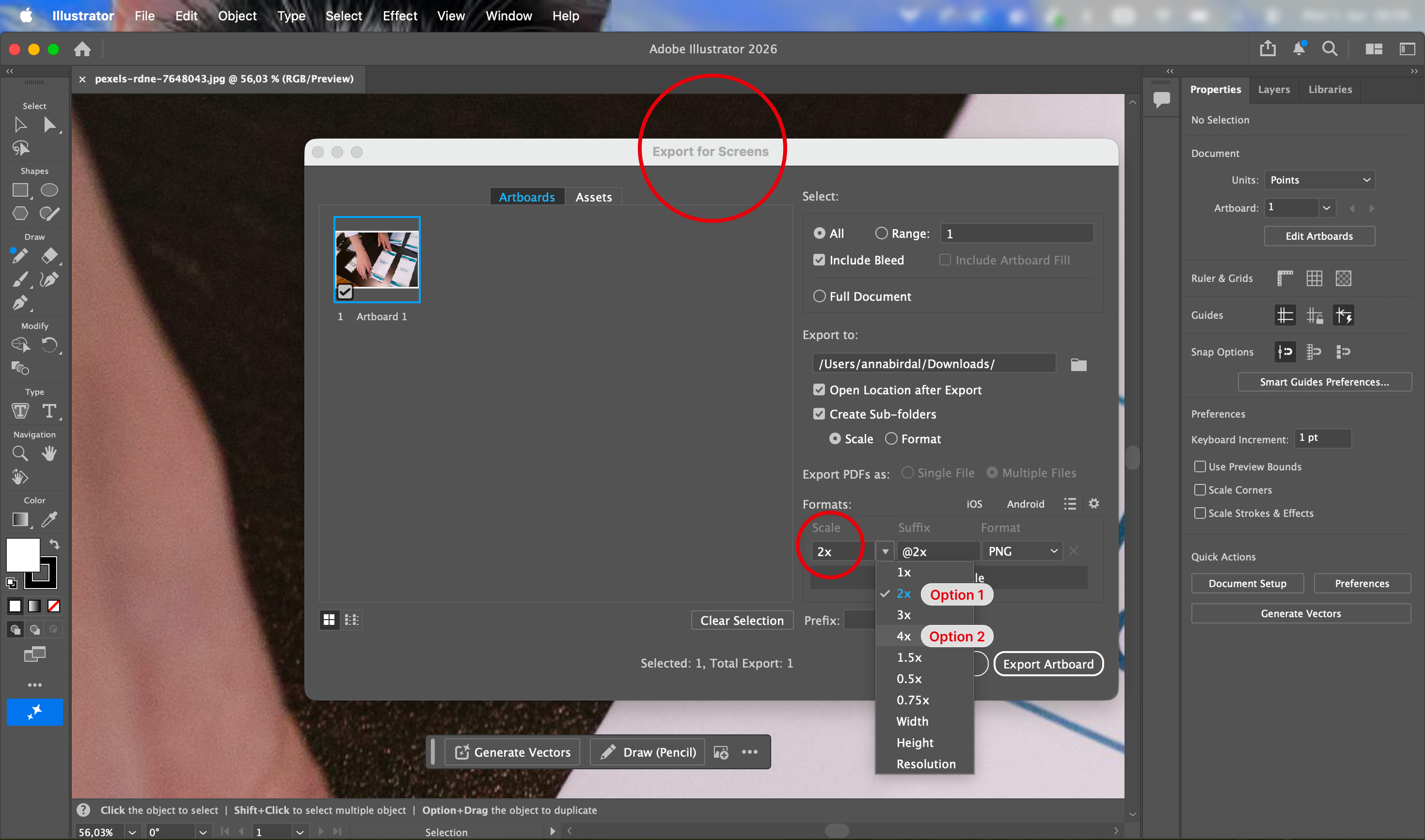 Export_Step 2.png